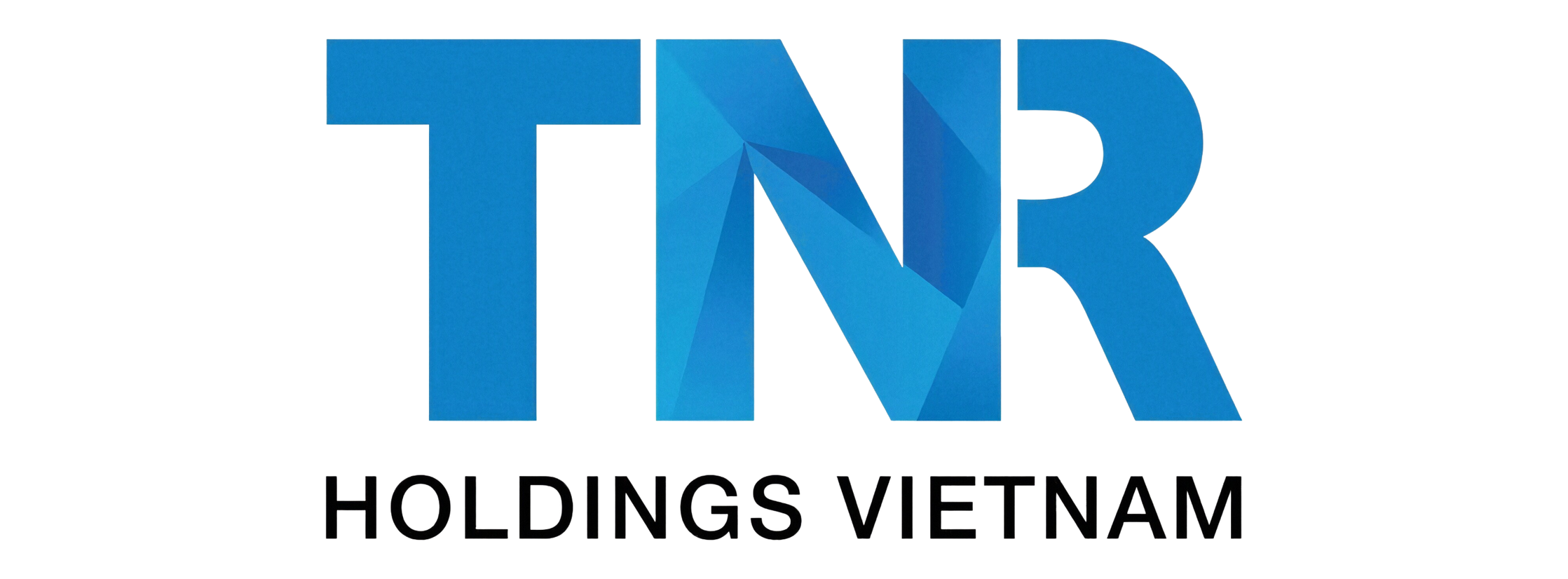 TNR Holdings